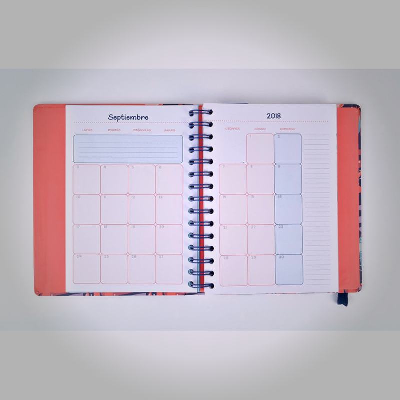 Agenda abierta en vista semanal